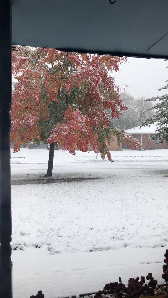 Snow, 10/14